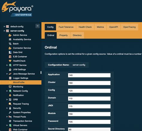 Payara Documentation.
